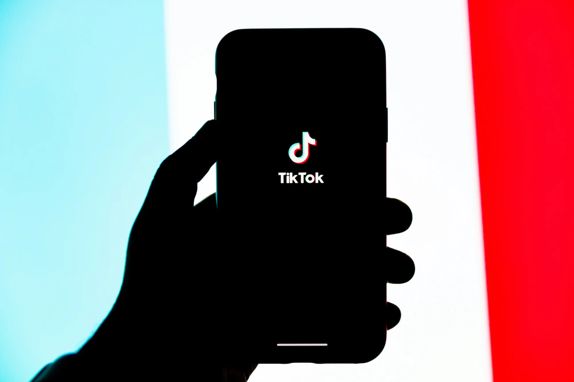 TikTok For Business Online Training